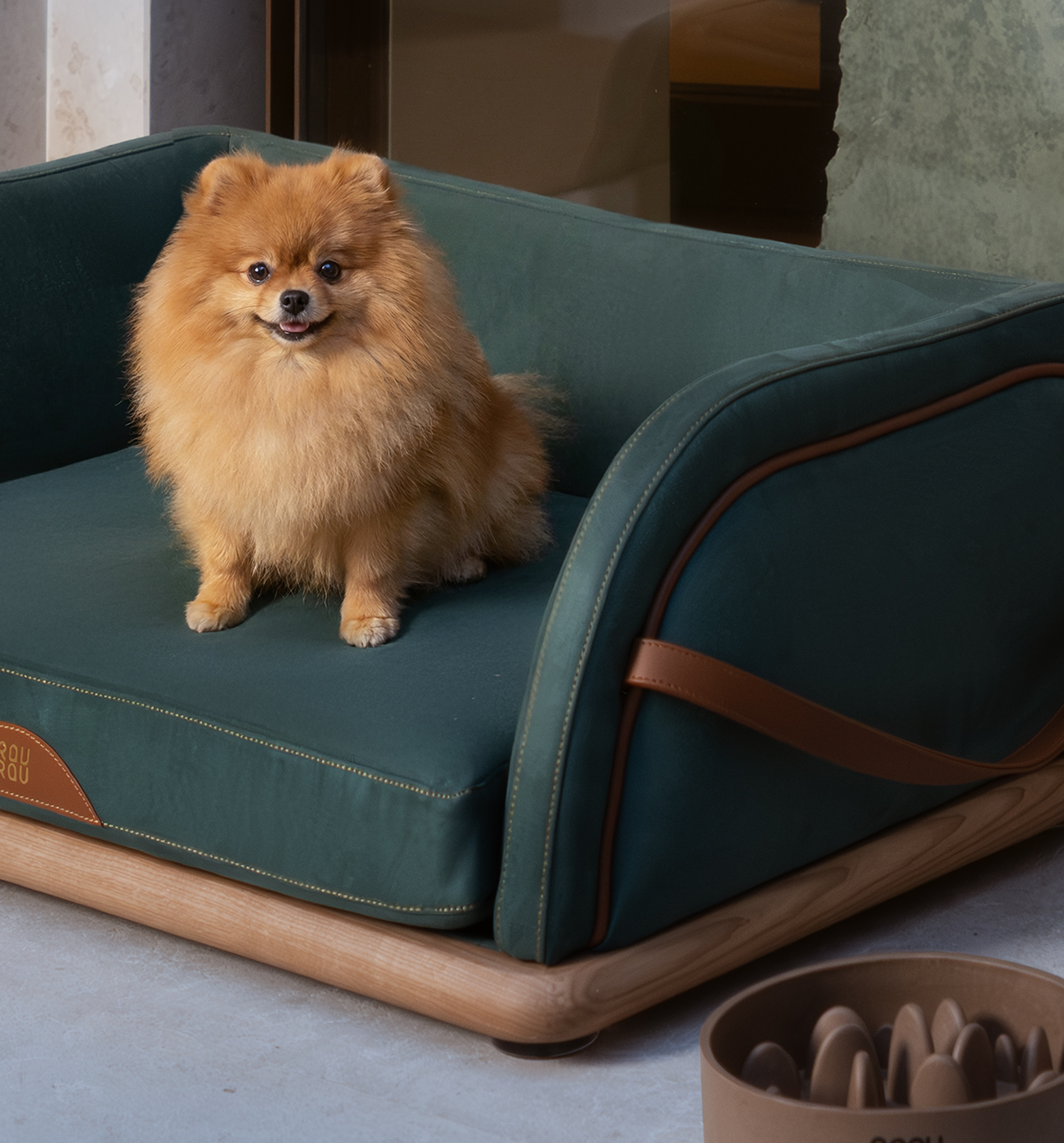Canapea Premium Verde Ash Wood Sofa - BRAUBRAU pentru Animale de Companie (Câini și Pisici)