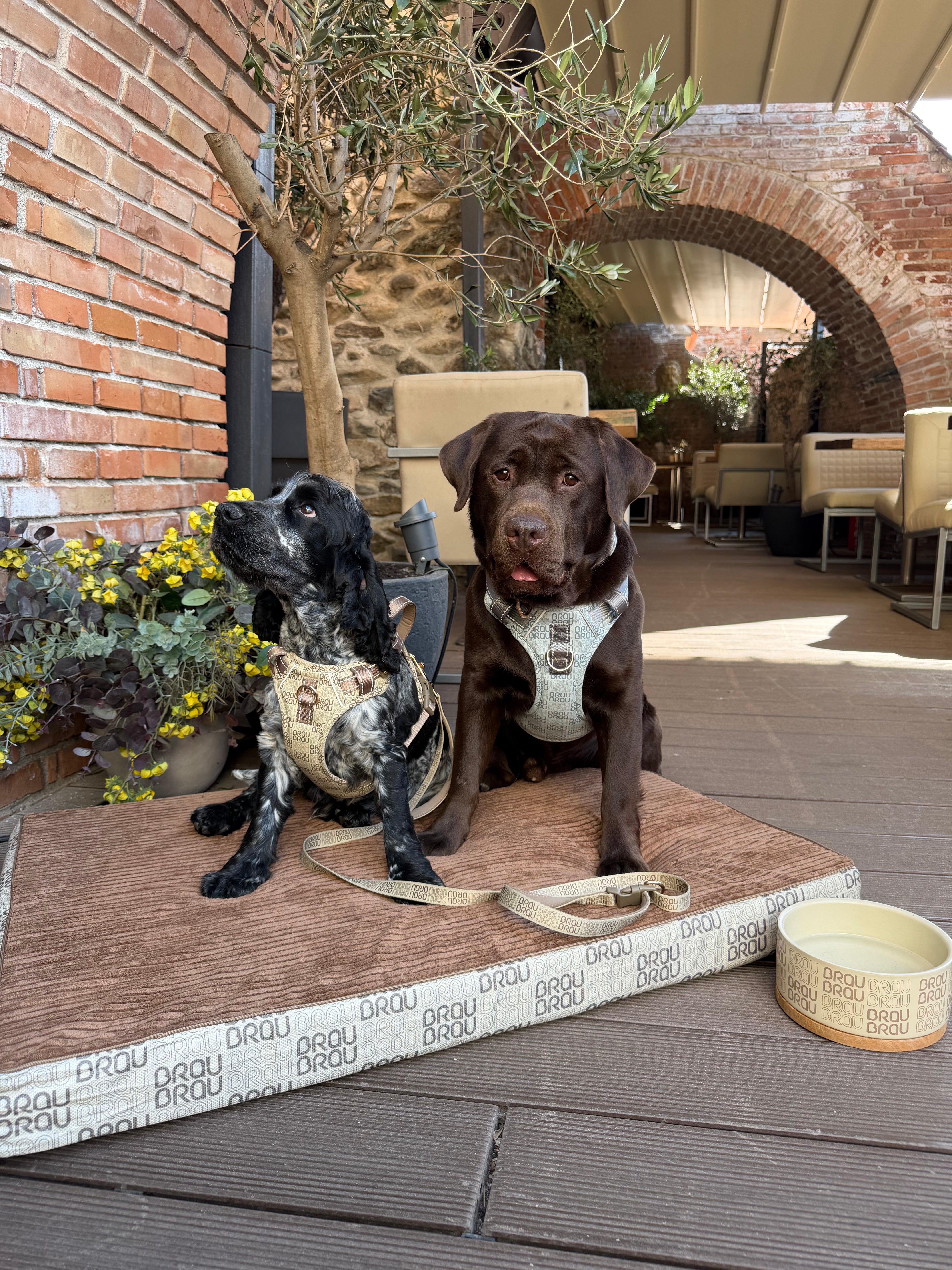 Graues Bett - Orthopädische Seide BRAUBRAU für Haustiere (Hunde und Katzen)
