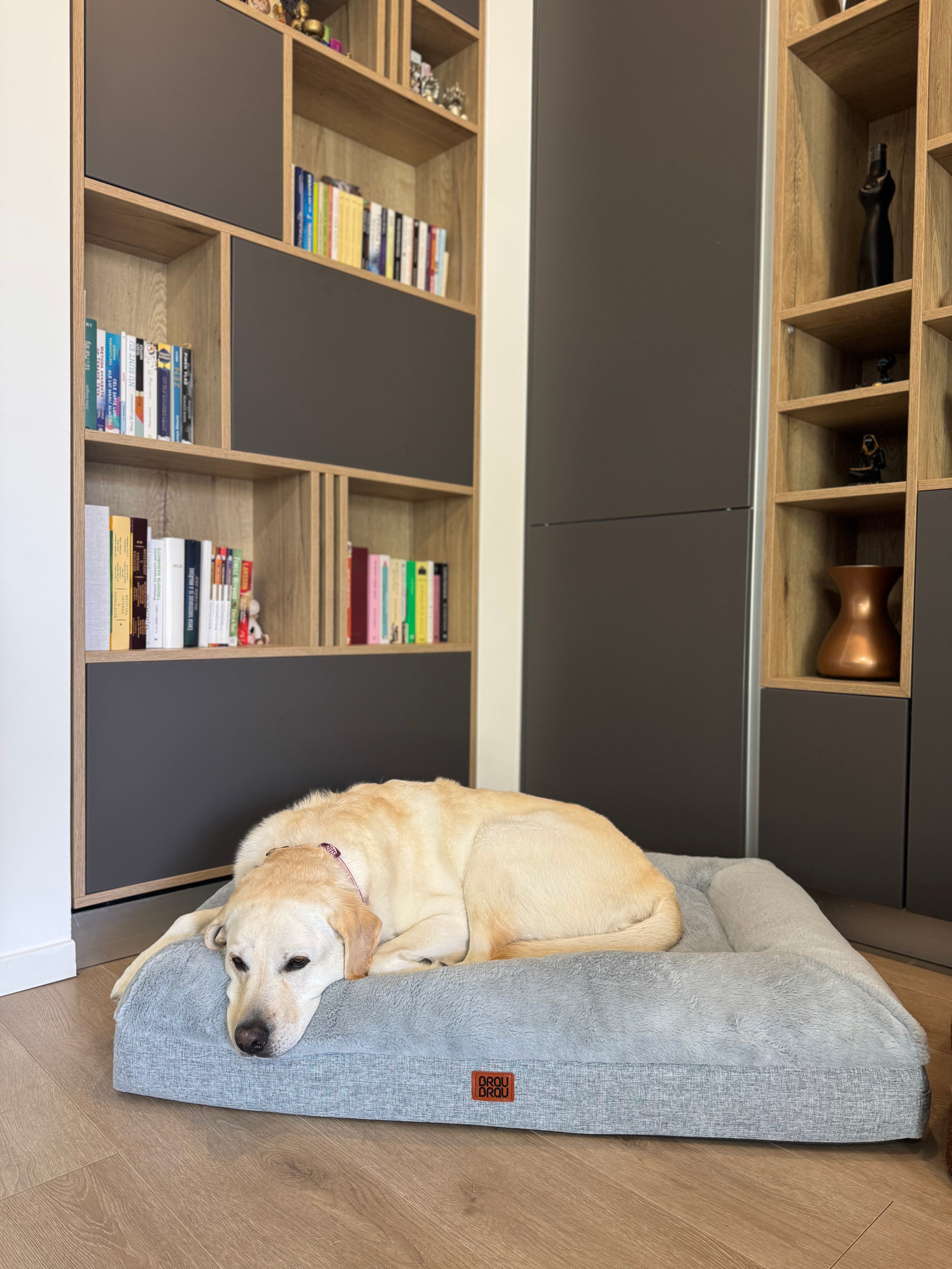 Graues Bett - Orthopädische Seide BRAUBRAU für Haustiere (Hunde und Katzen)