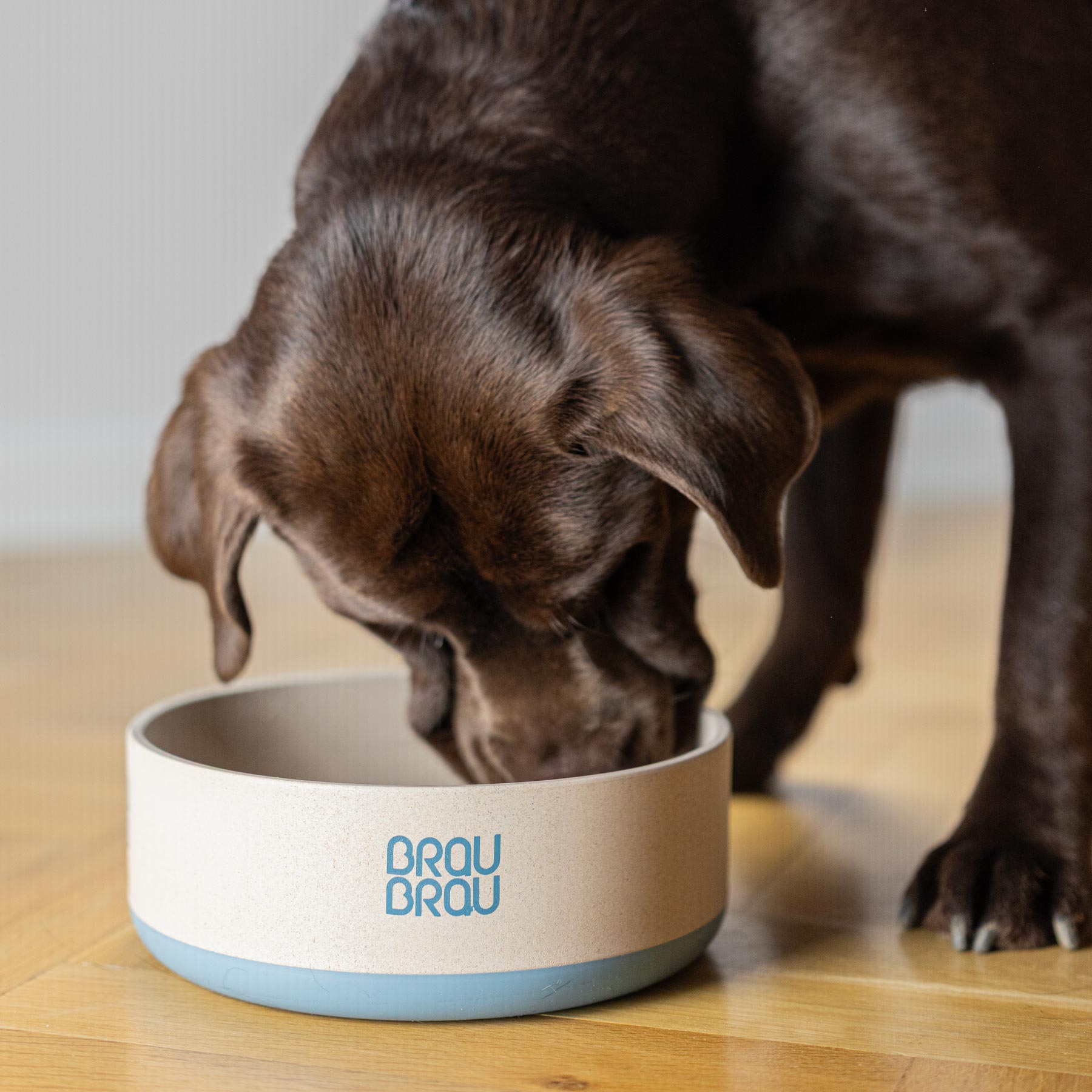 BRAUBRAU Blauer Napf für Haustiere (Hunde & Katzen)