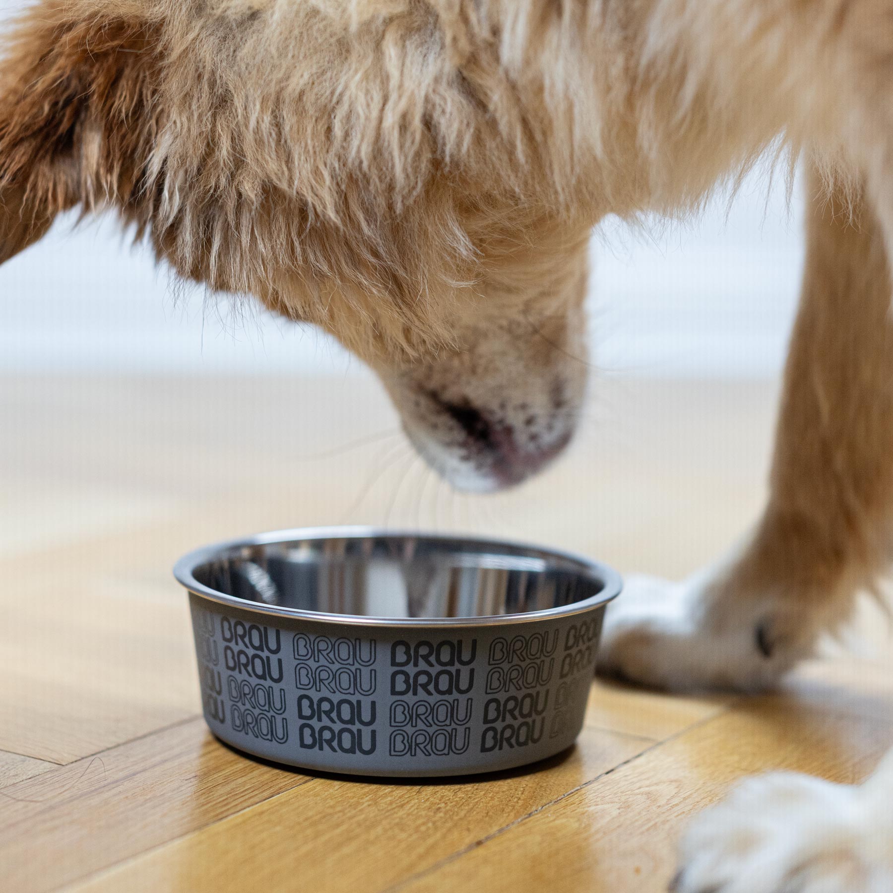 BRAUBRAU Graues Futternapf-Set für Hunde und Katzen