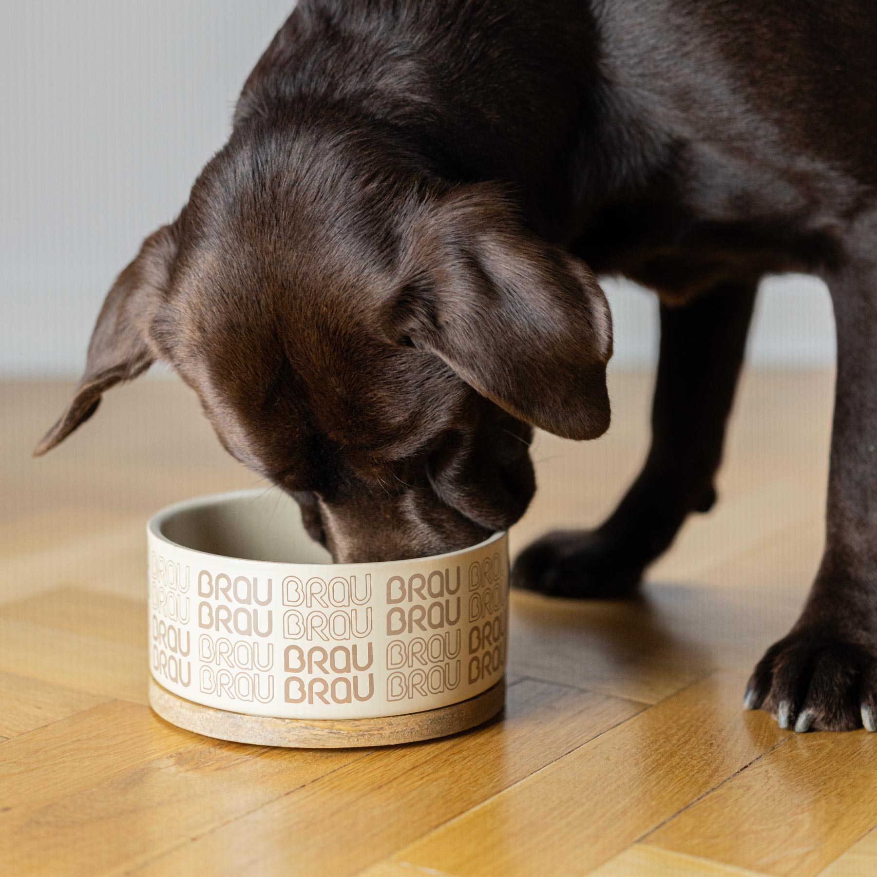 BRAUBRAU Brauner Futternapf für Haustiere (Hunde & Katzen)