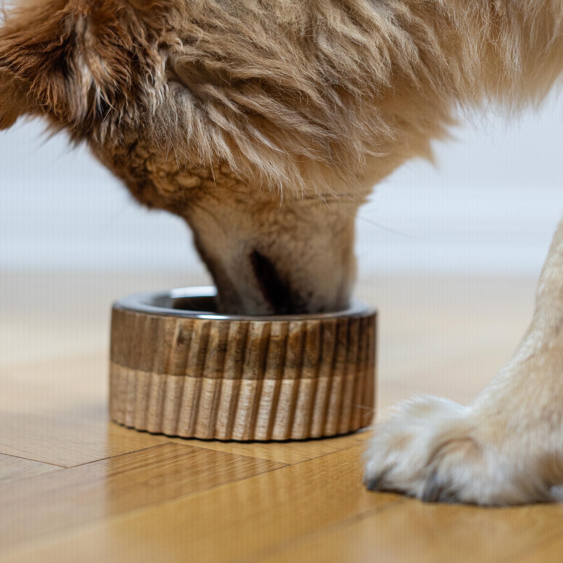 BRAUBRAU Brauner Holznapf für Haustiere (Hunde & Katzen)