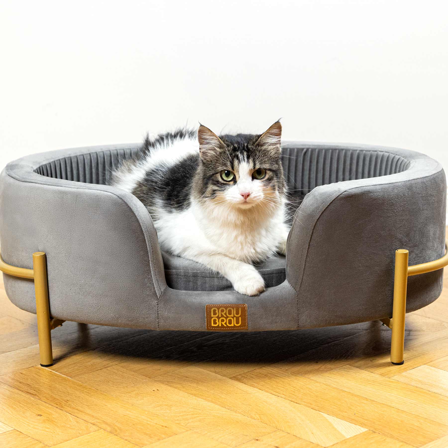 Ovales Sofa aus grauem Samt - Graues BRAUBRAU-Sofa für Haustiere (Hunde und Katzen)