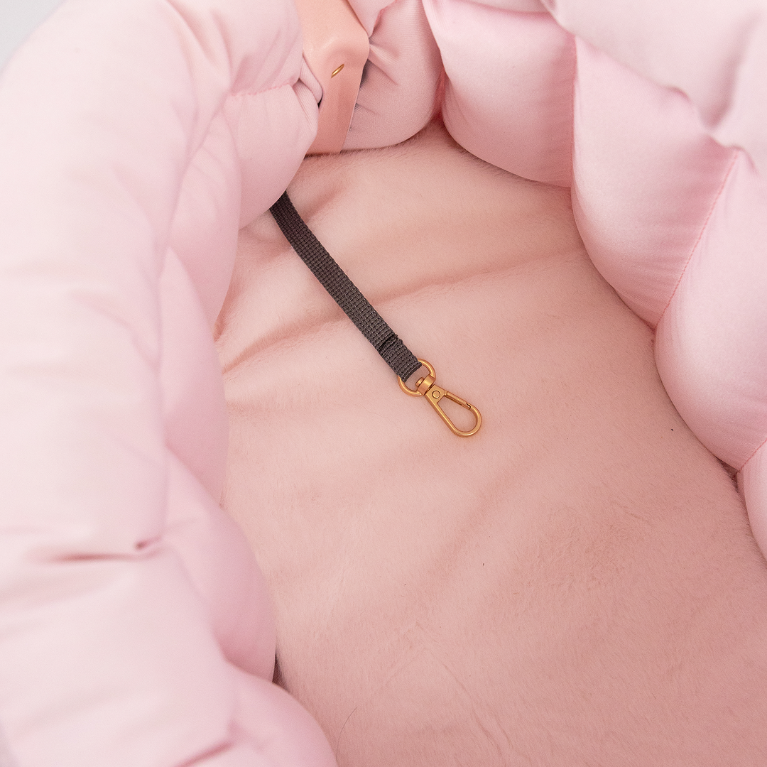 Graues Bett - Orthopädische Seide BRAUBRAU für Haustiere (Hunde und Katzen)