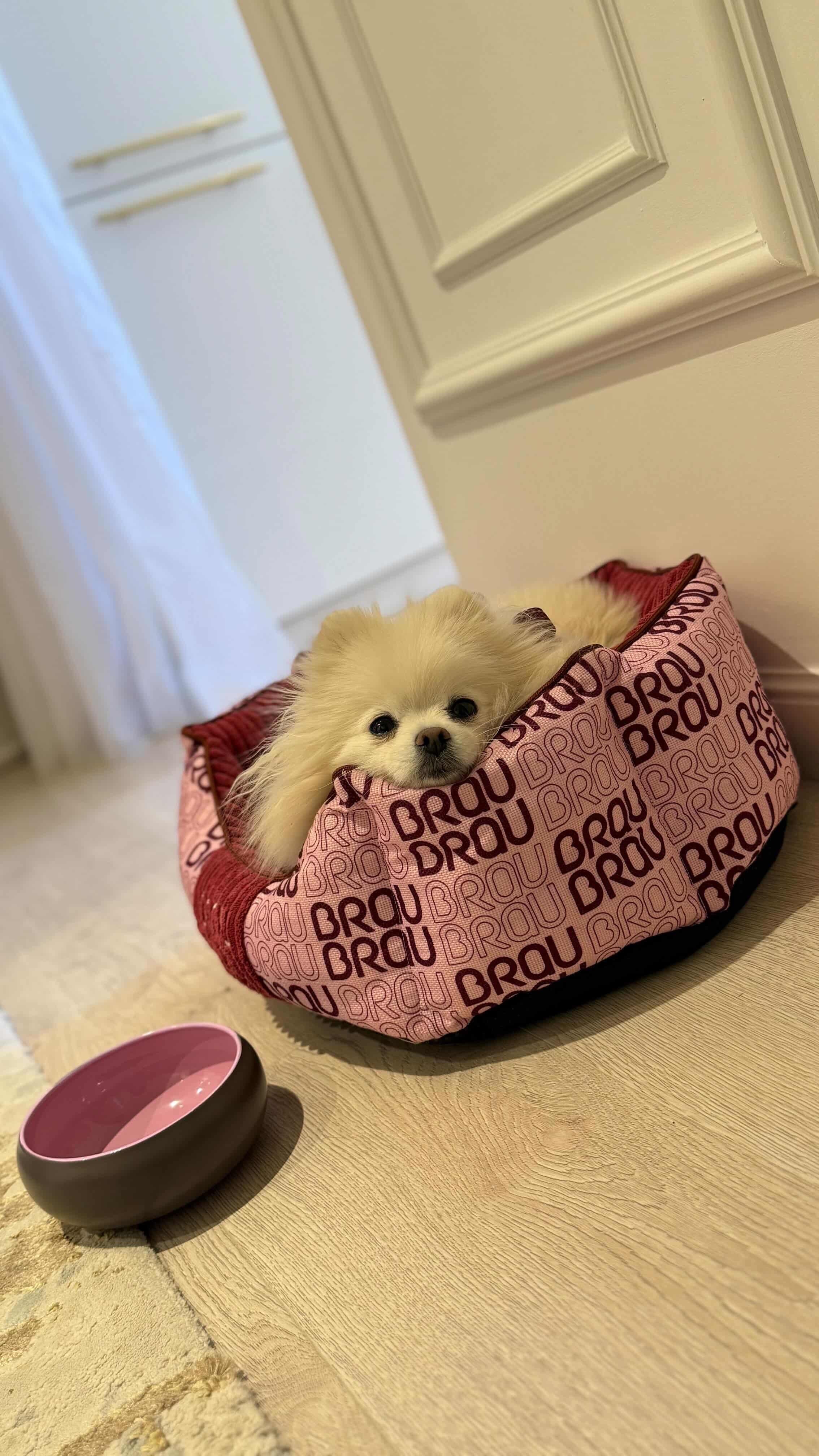 Graues Bett - Orthopädische Seide BRAUBRAU für Haustiere (Hunde und Katzen)