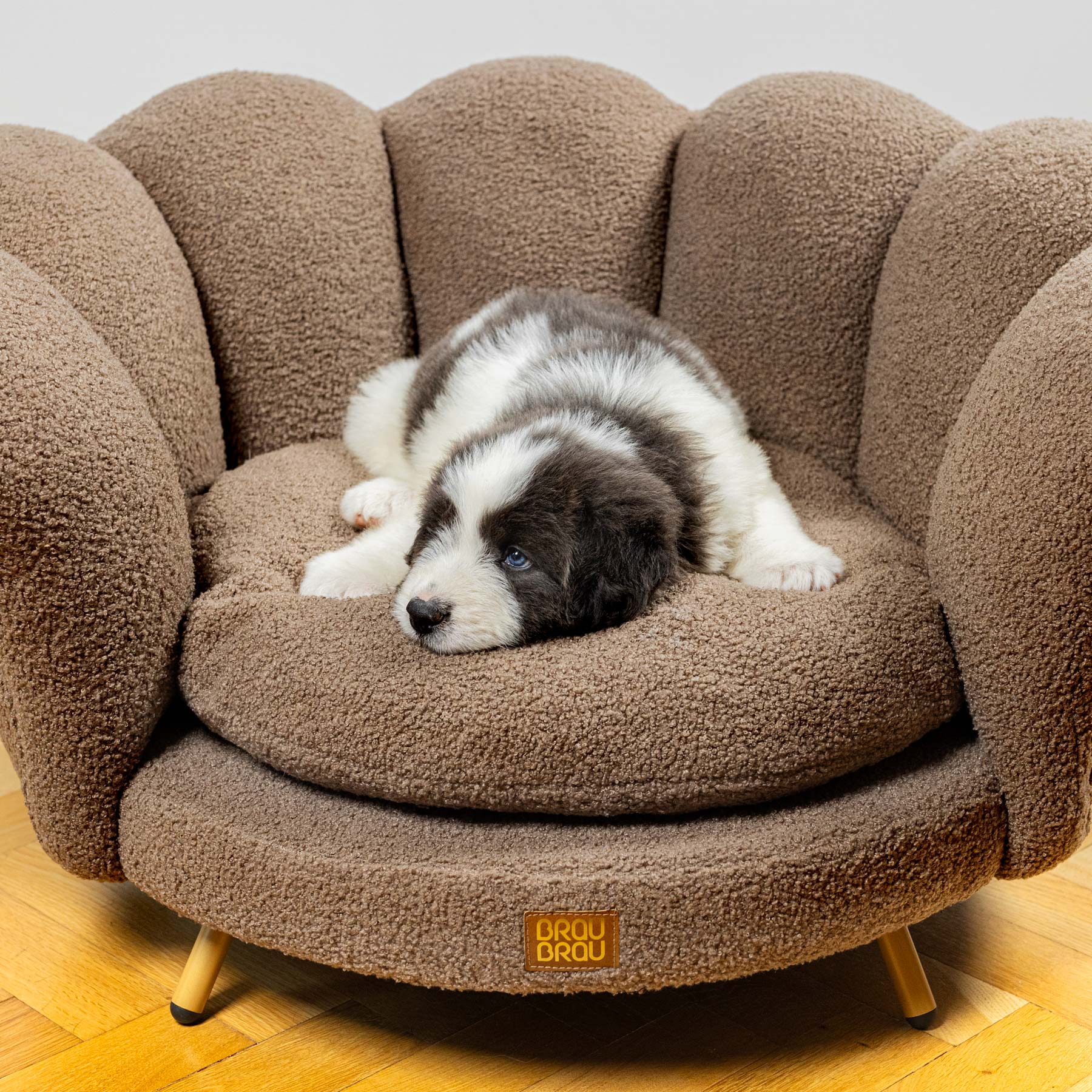 Canapea pentru câini