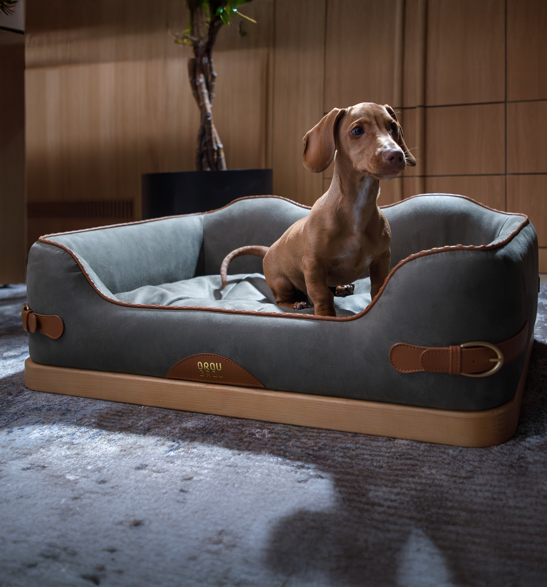 Pătuț Premium Double Strap Wooden Bed - BRAUBRAU pentru Animale de Companie (Câini și Pisici)