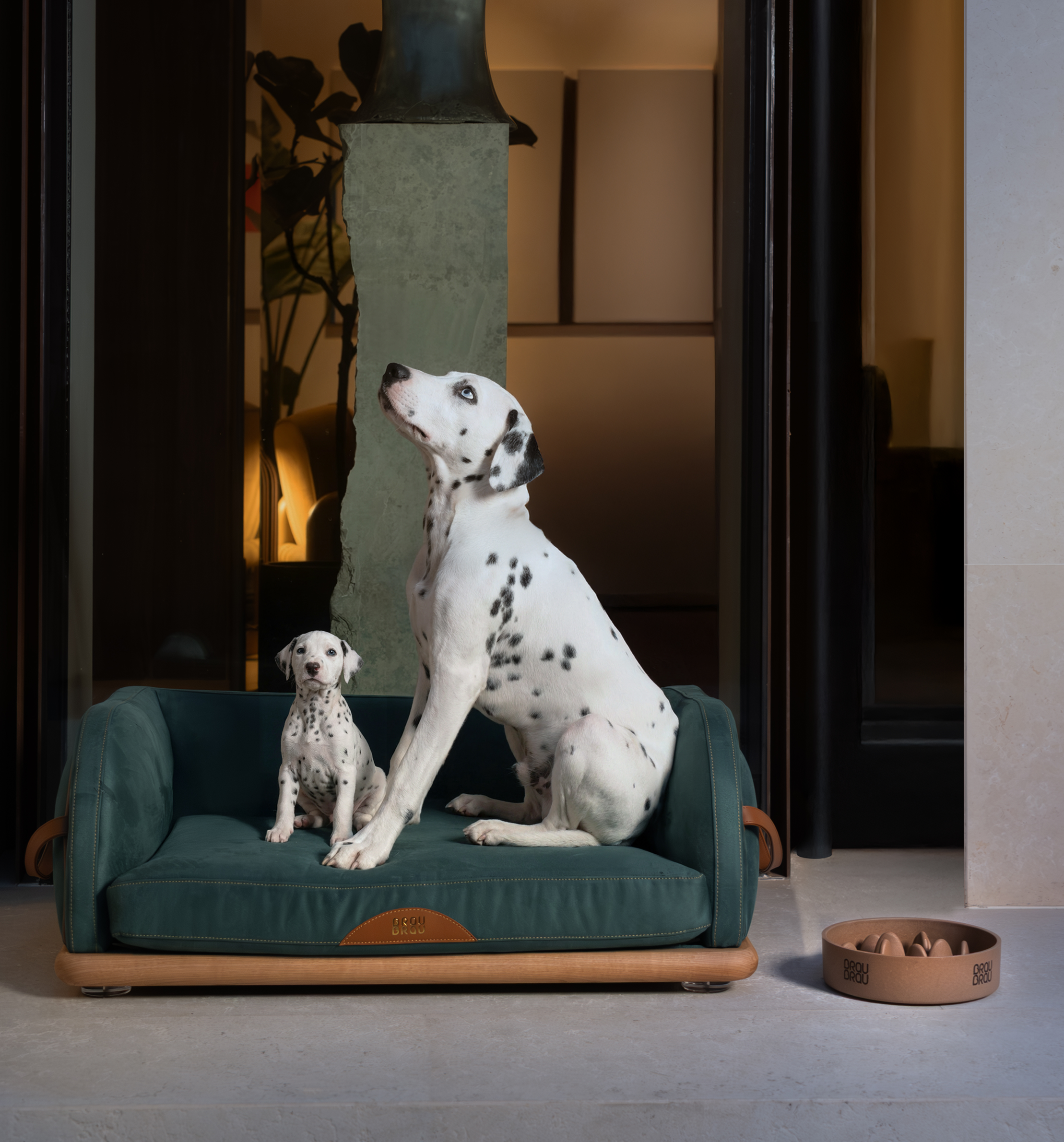 Canapea Premium Verde Ash Wood Sofa - BRAUBRAU pentru Animale de Companie (Câini și Pisici)