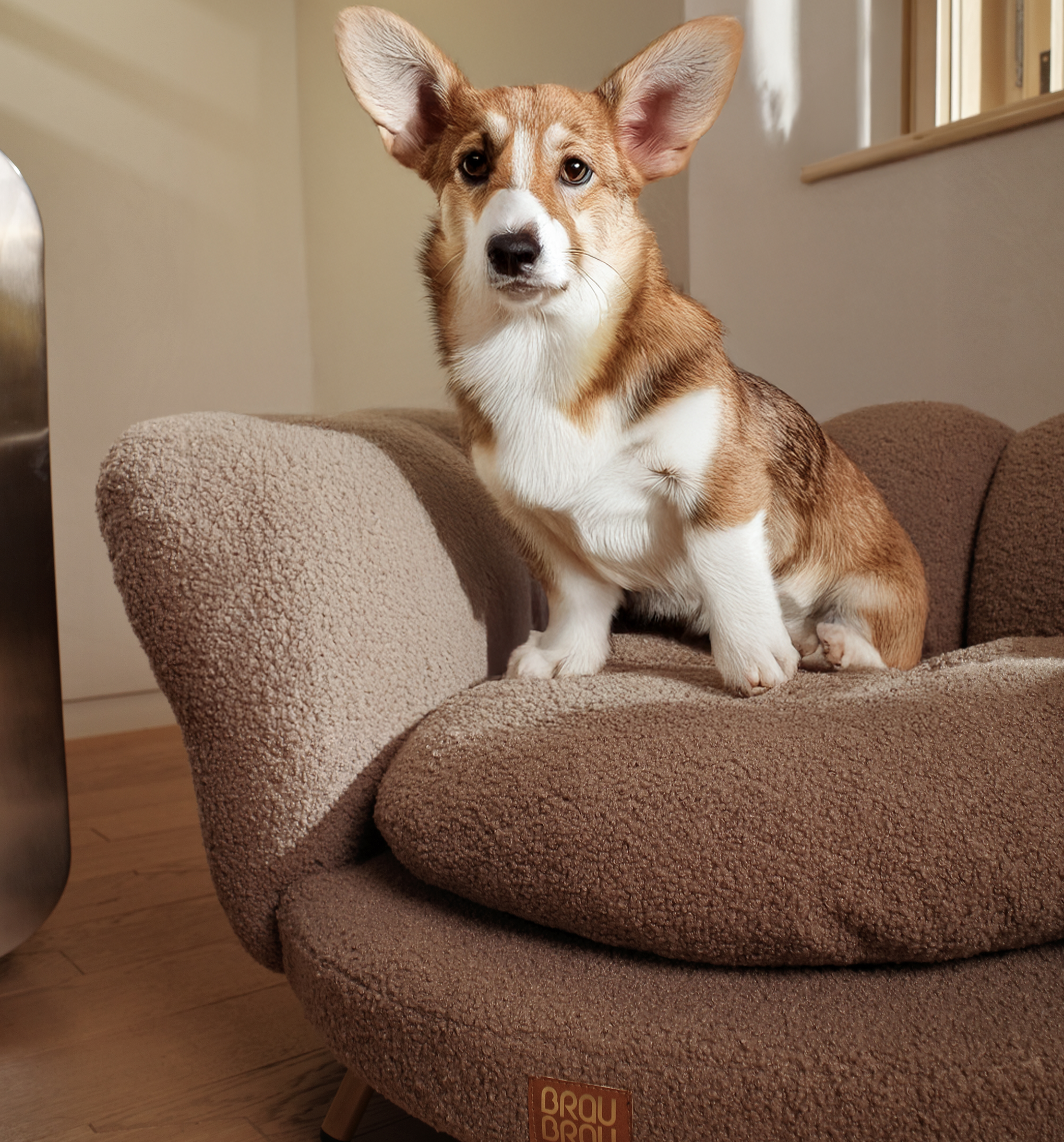 Braunes Sofa - Cappuccino Flower BRAUBRAU für Haustiere (Hunde und Katzen)