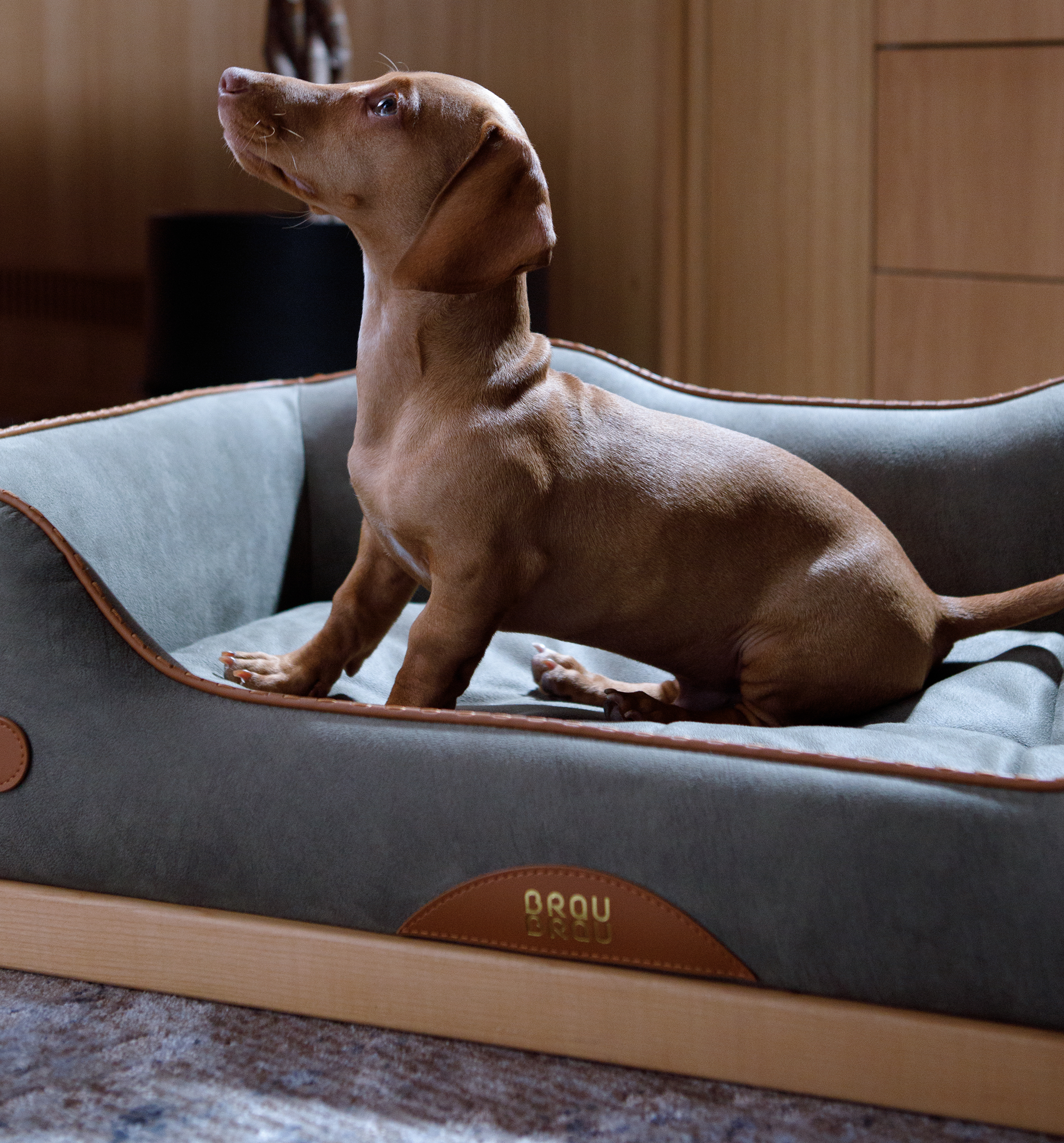 Pătuț Premium Double Strap Wooden Bed - BRAUBRAU pentru Animale de Companie (Câini și Pisici)