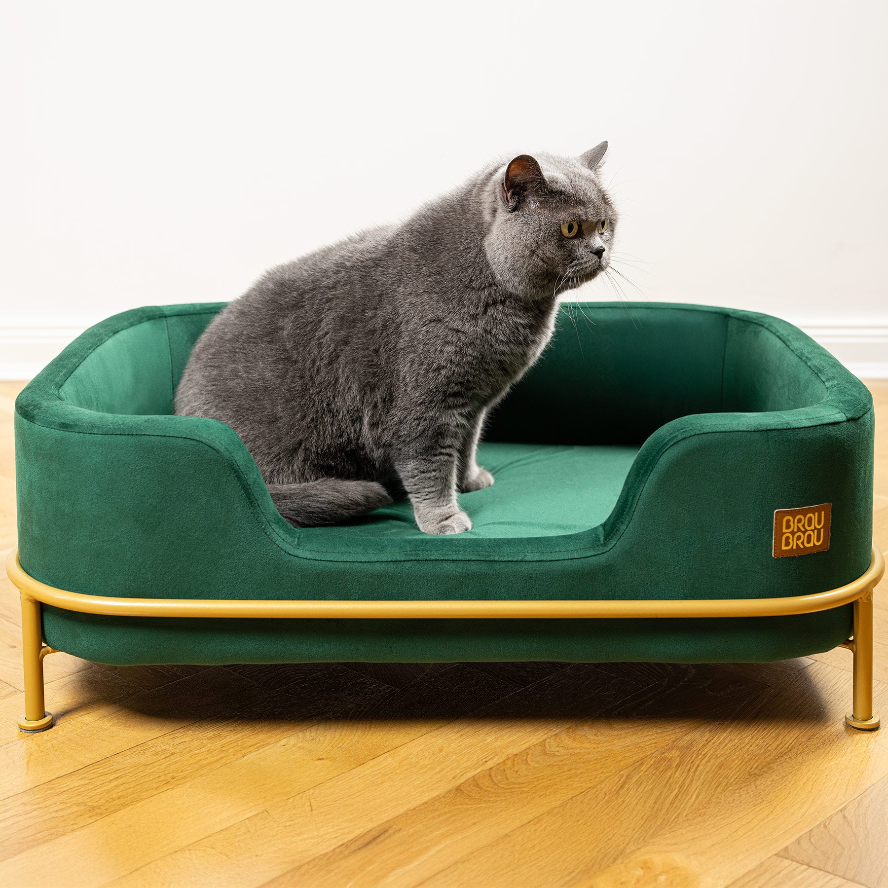 Grünes Sofa - Samt Smaragdgrün BRAUBRAU für Haustiere (Hunde und Katzen)