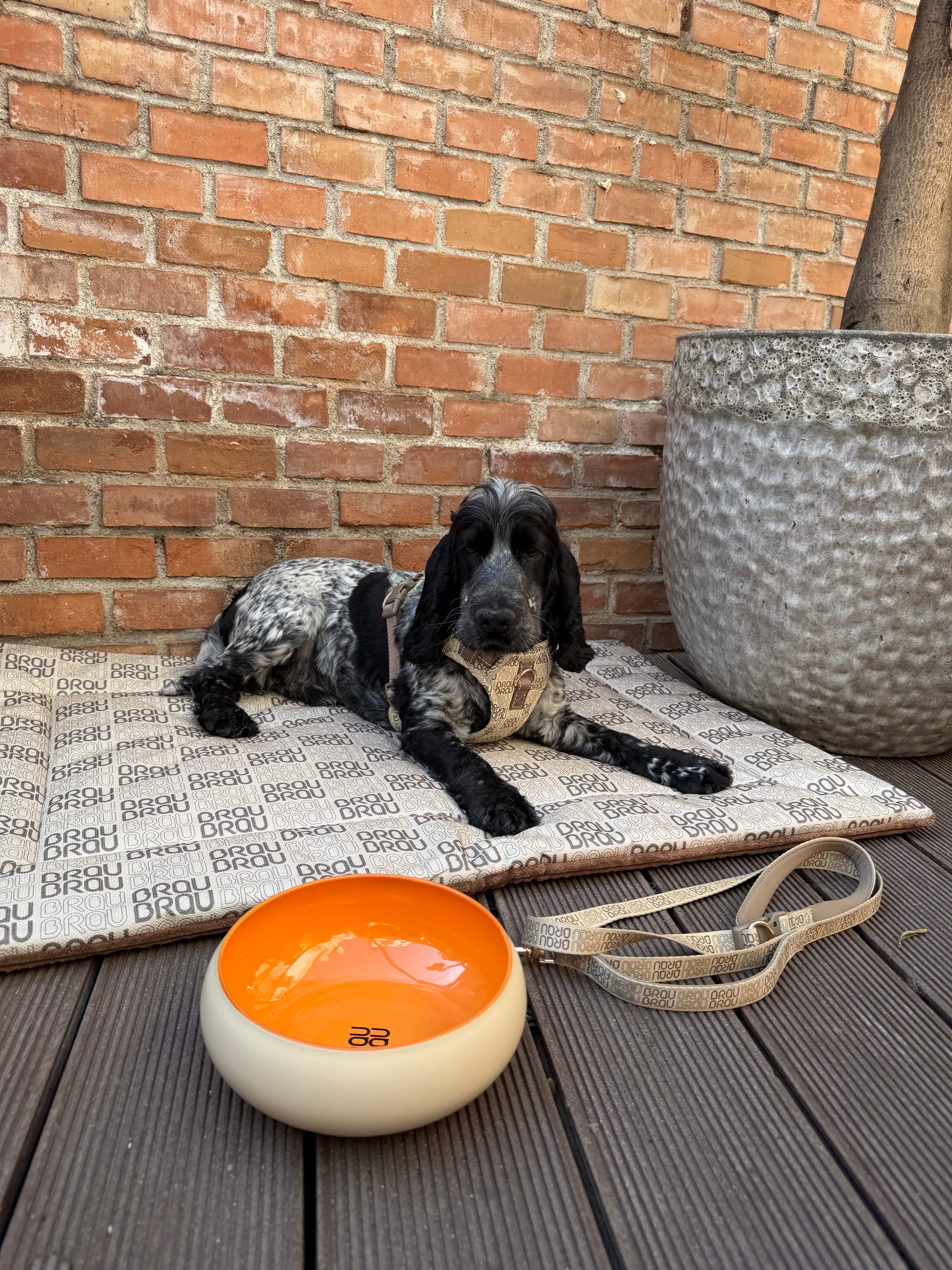 Graues Bett - Orthopädische Seide BRAUBRAU für Haustiere (Hunde und Katzen)