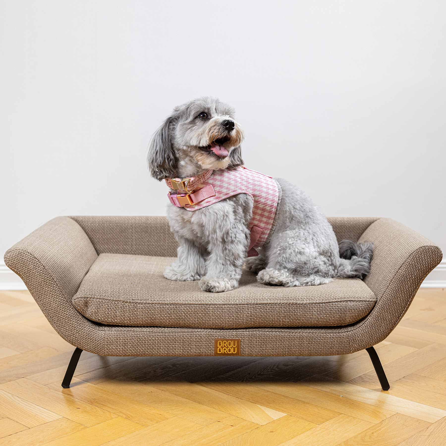 Beiges Sofa - Retro BRAUBRAU für Haustiere (Hunde und Katzen)