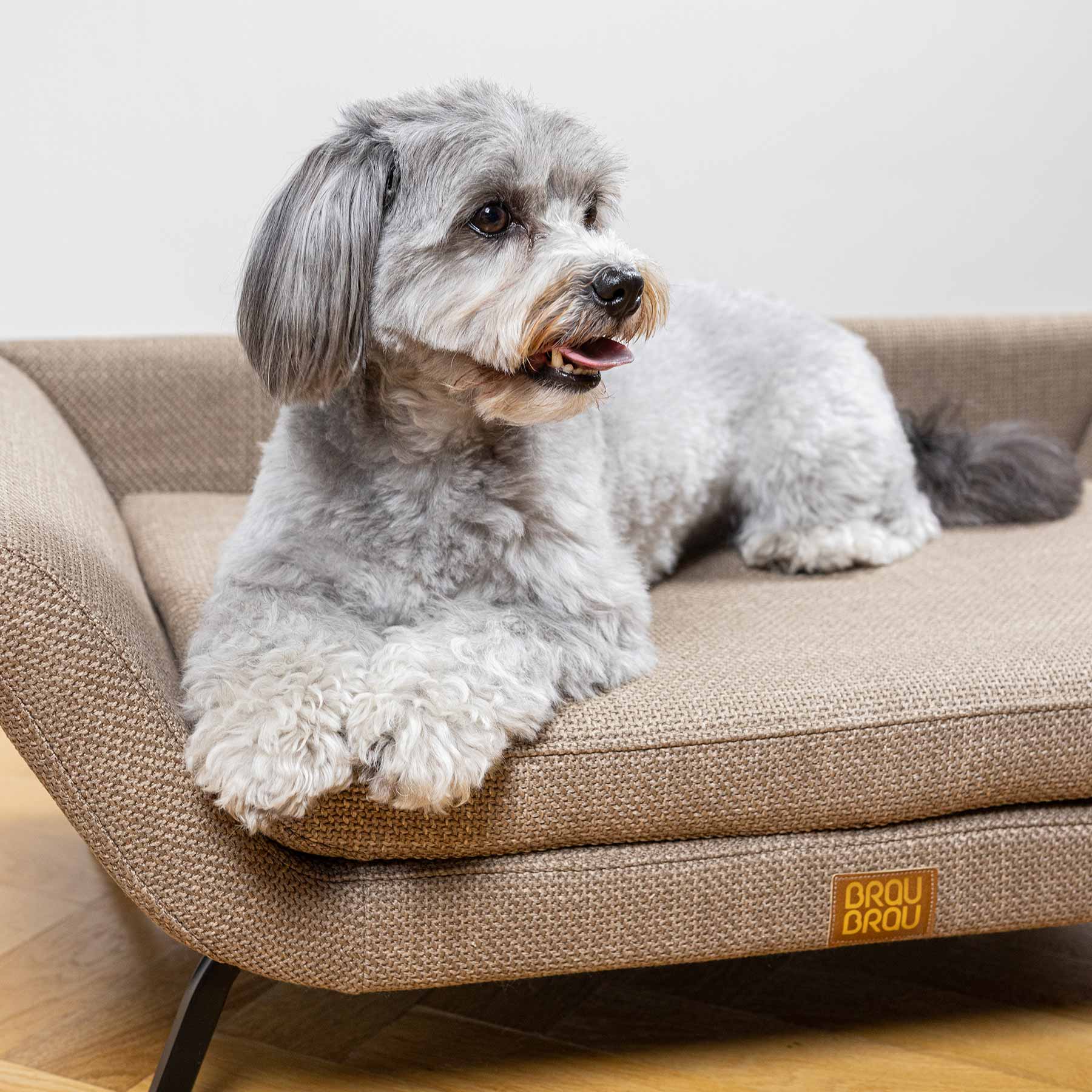 Beiges Sofa - Retro BRAUBRAU für Haustiere (Hunde und Katzen)