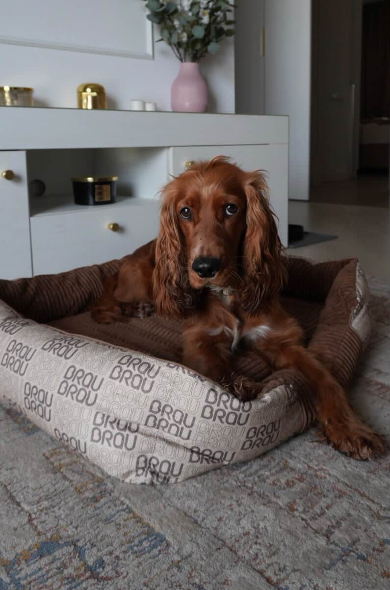 Graues Bett - Orthopädische Seide BRAUBRAU für Haustiere (Hunde und Katzen)